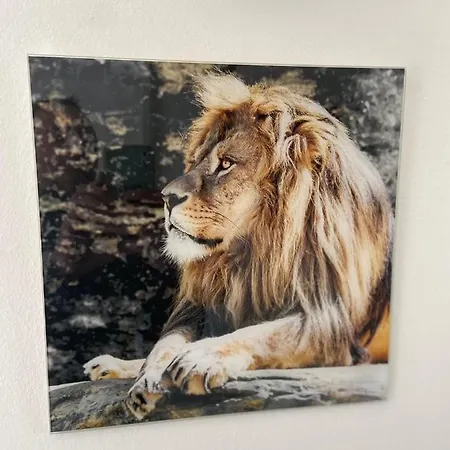 900 Szálloda *